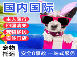 两江机场快递国际宠物托运 【国
